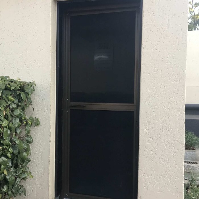 Insect Screen Door